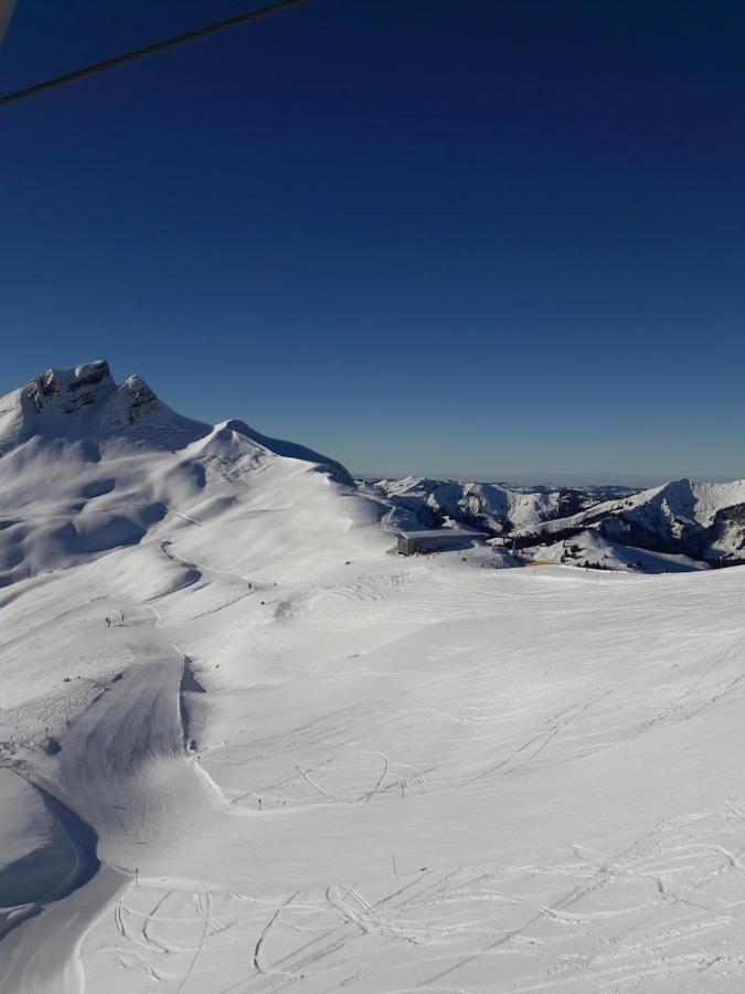 Ferienwohnung Schnetzer Au Au (Vorarlberg) 外观 照片